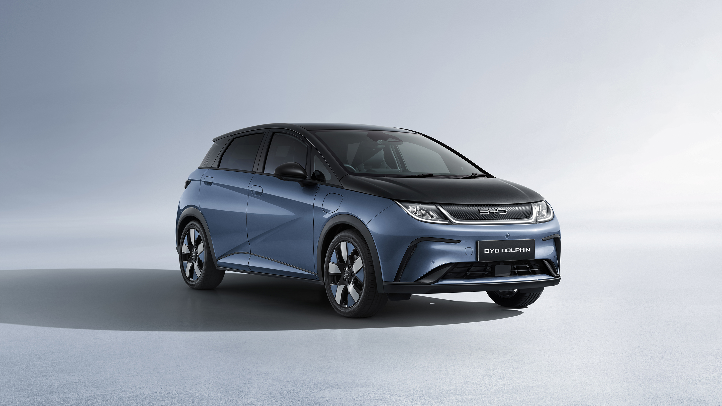 尊龙凯时 Dolphin